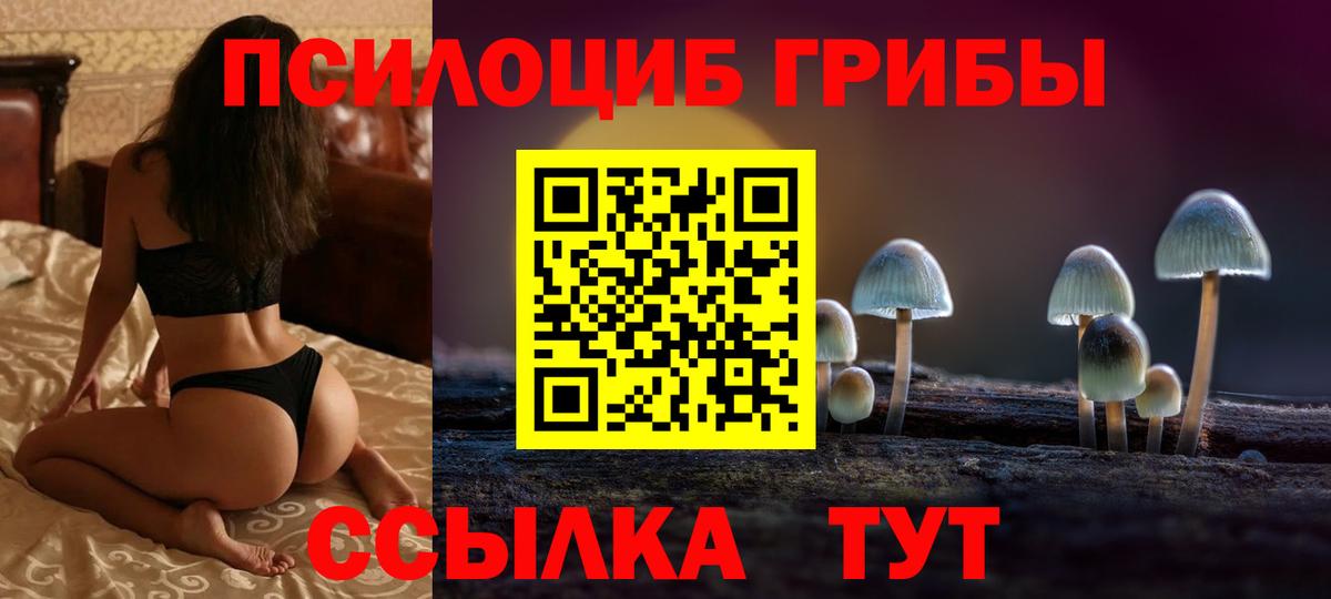 Галлюциногенные грибы прущие грибы Ижевск