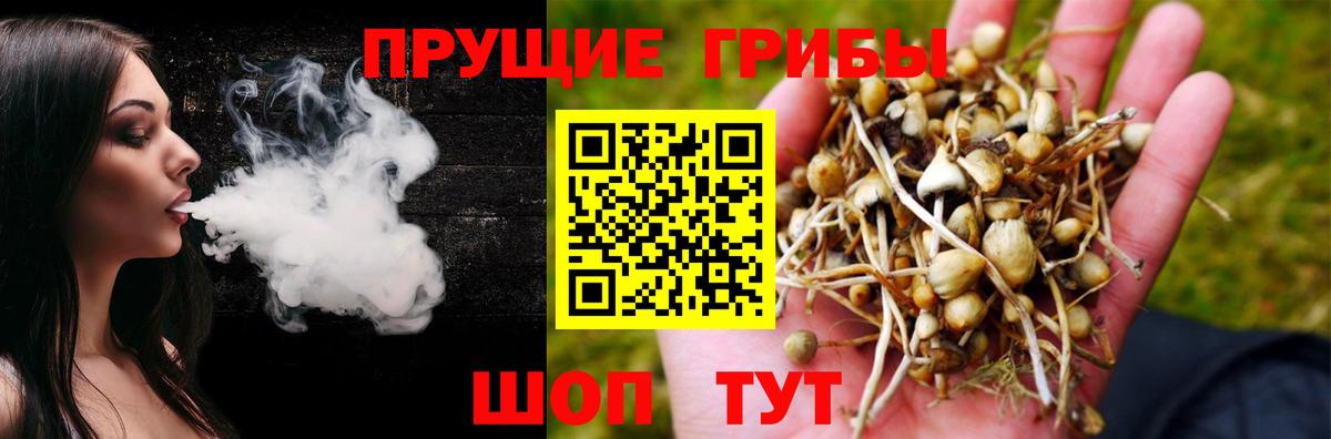 Галлюциногенные грибы MAGIC MUSHROOMS  Галлюциногенные грибы GOLDEN TEACHER  Ижевск  Вход с VPN 